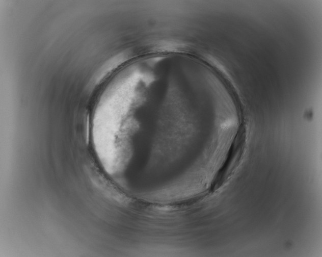 X0000113951219200910231959