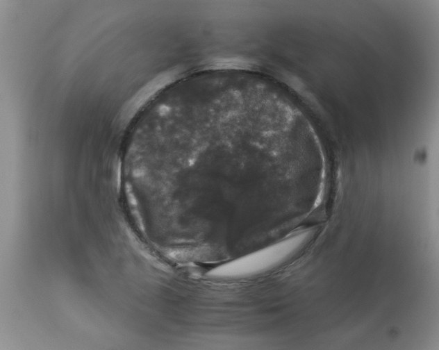 X0000113951221200910231959