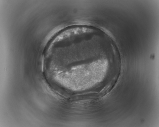 X0000113951223200910231959