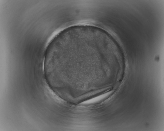 X0000113951224200910231959