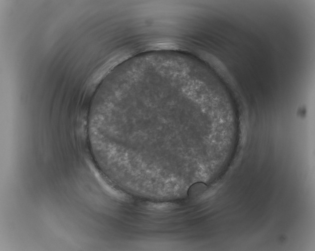 X0000113951225200910231959