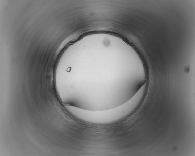 X0000113951226200910231959