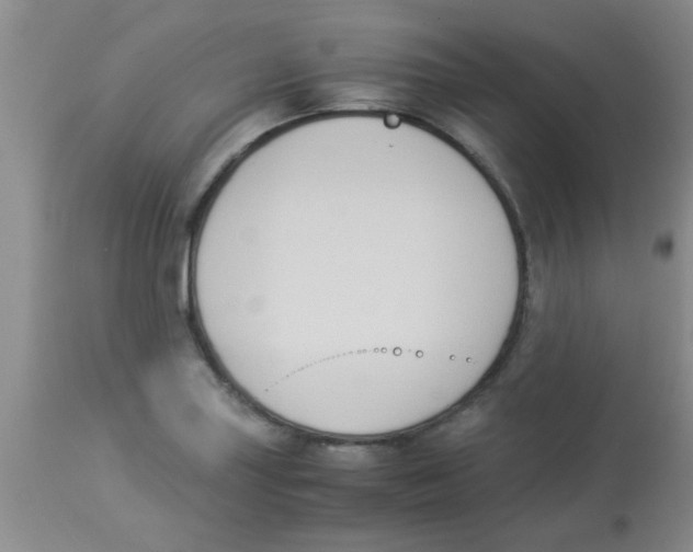 X0000113951227200910231959