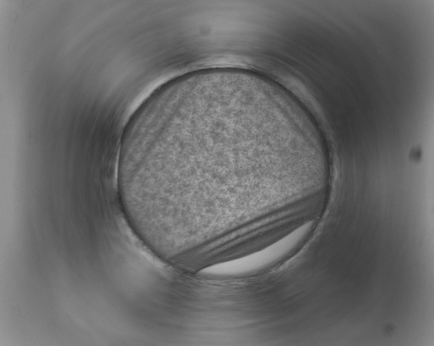 X0000113951228200910231959
