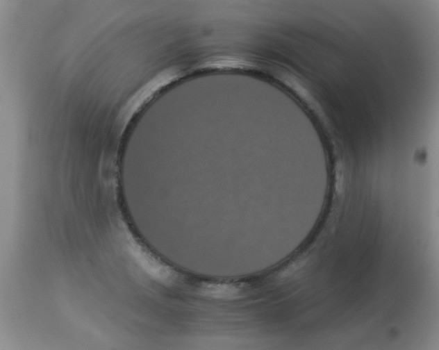 X0000113951229200910231959