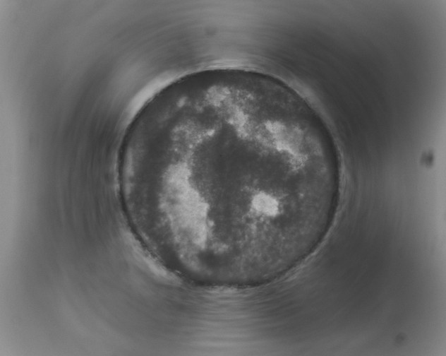 X0000113951230200910231959