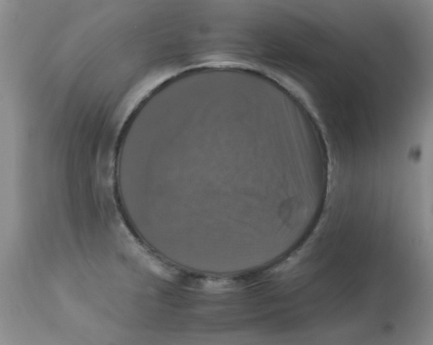 X0000113951231200910231959