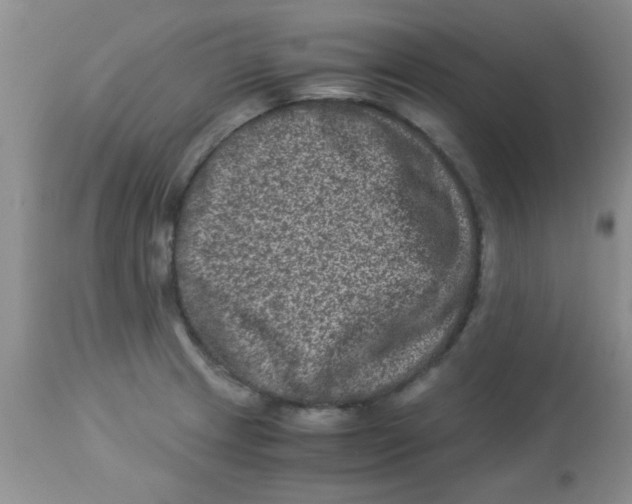 X0000113951233200910231959