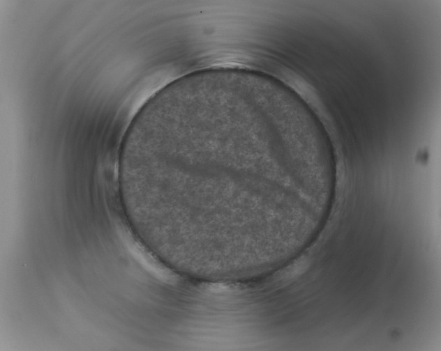 X0000113951234200910231959