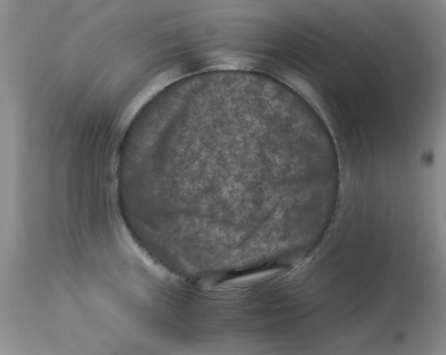X0000113951235200910231959