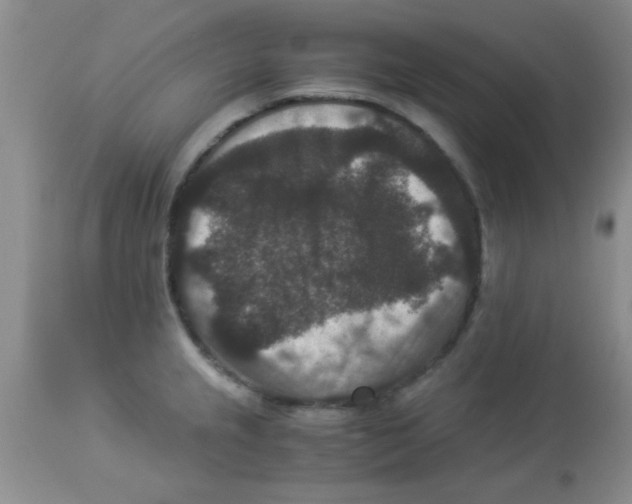 X0000113951237200910231959