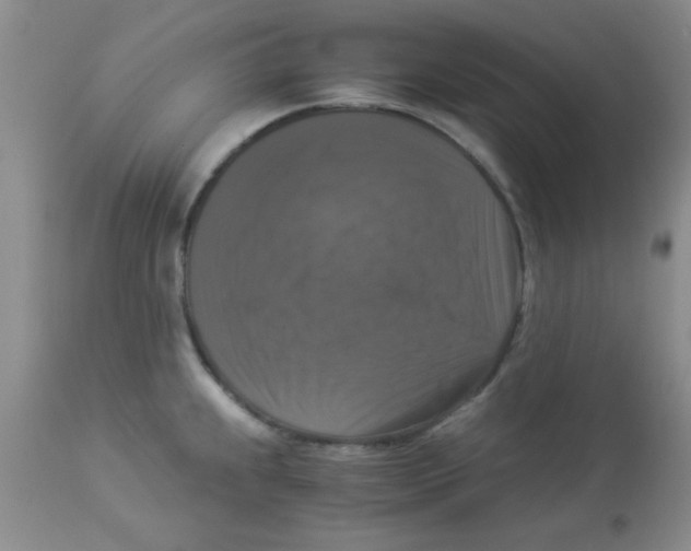 X0000113951239200910231959