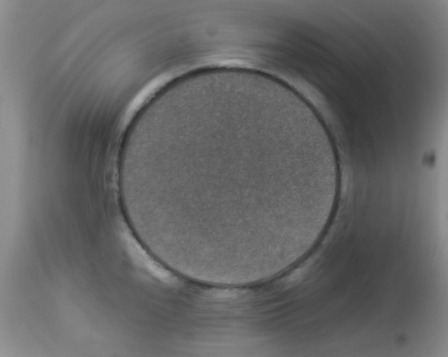 X0000113951240200910231959