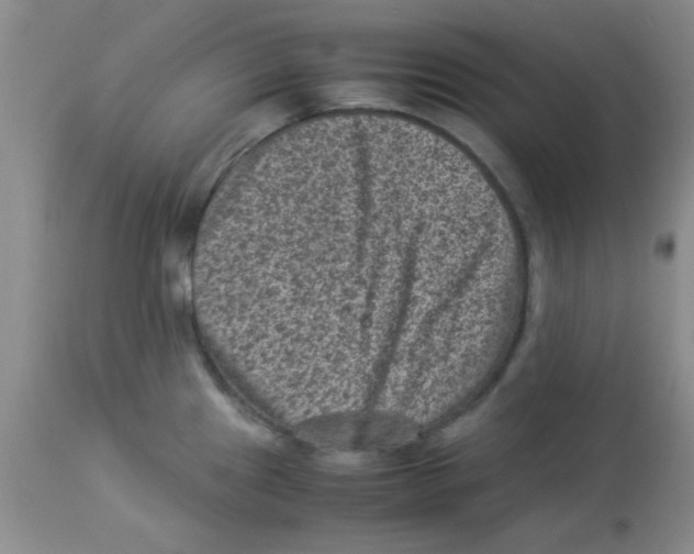 X0000113951241200910231959