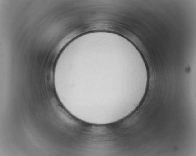 X0000113951242200910231959
