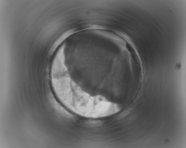X0000113951243200910231959