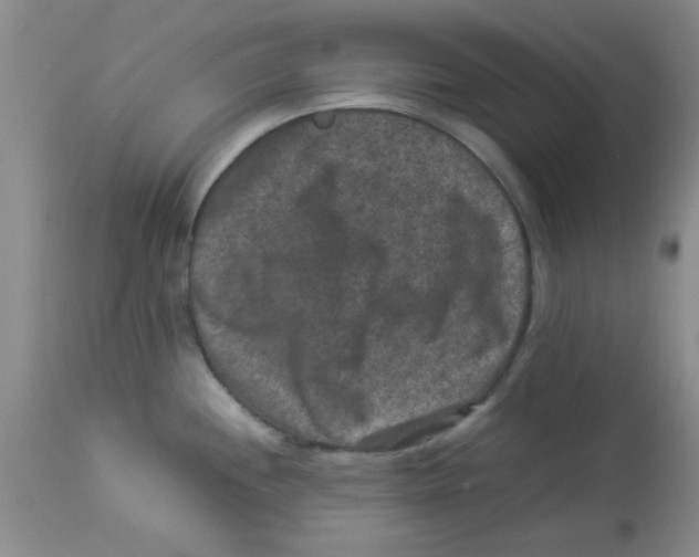 X0000113951244200910231959