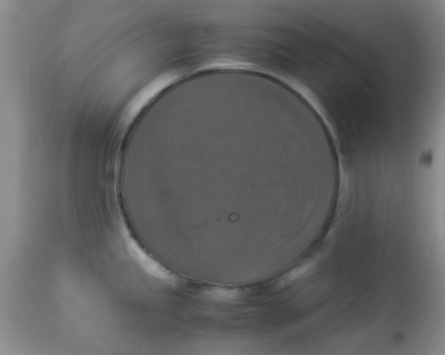 X0000113951245200910231959