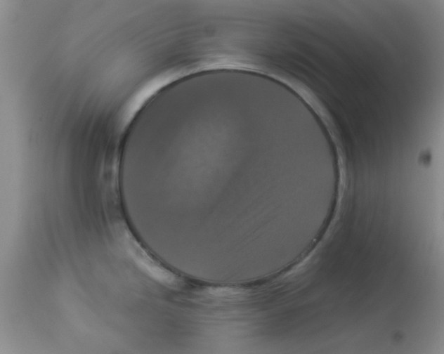 X0000113951246200910231959