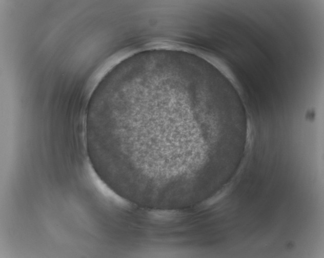 X0000113951247200910231959