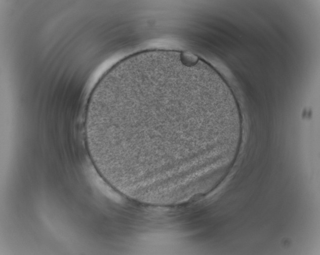 X0000113951248200910231959