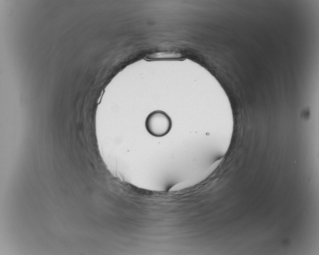 X0000113951249200910231958