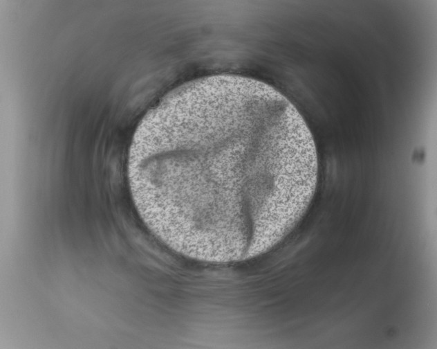 X0000113951250200910231958