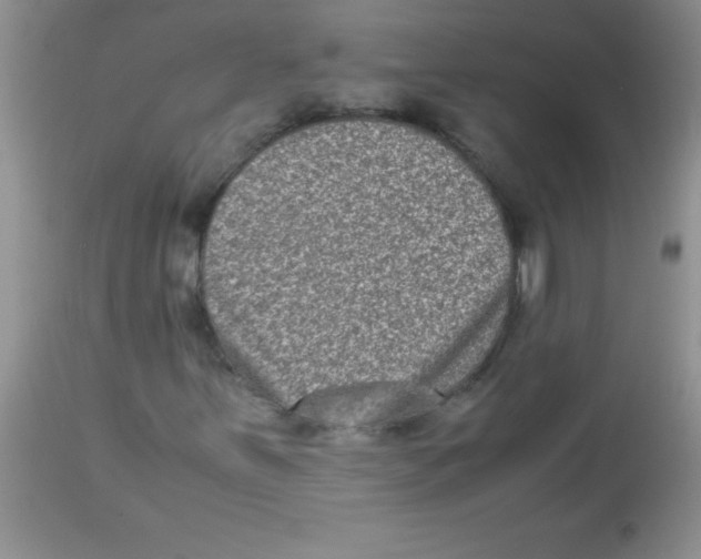 X0000113951251200910231958