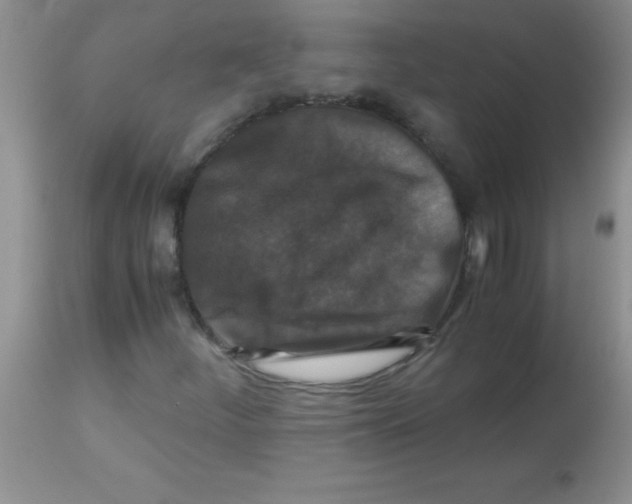 X0000113951252200910231958