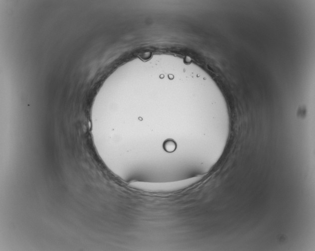 X0000113951253200910231958