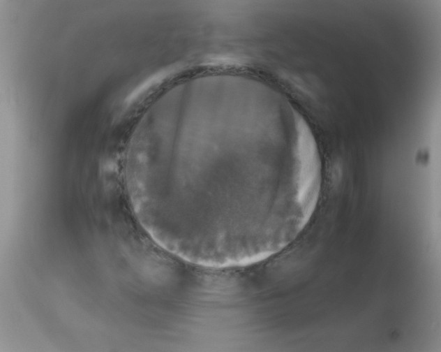 X0000113951254200910231958