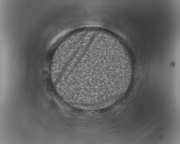 X0000113951255200910231958