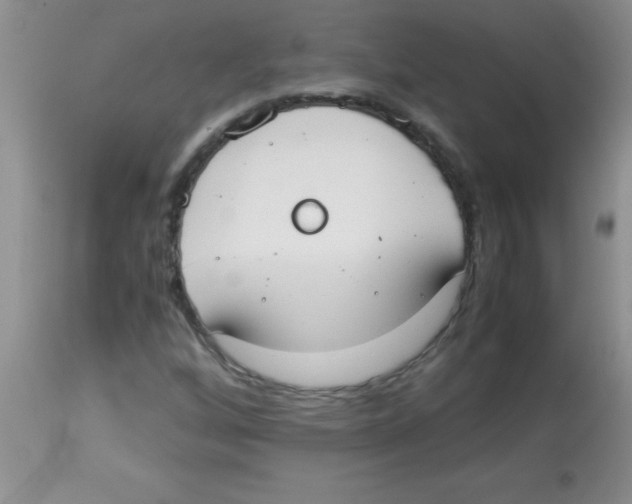 X0000113951256200910231958