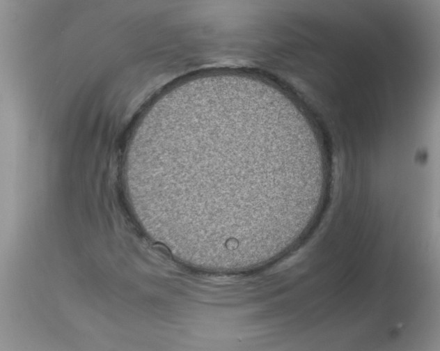 X0000113951257200910231958