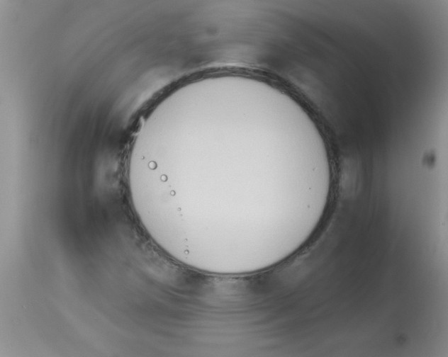 X0000113951258200910231958