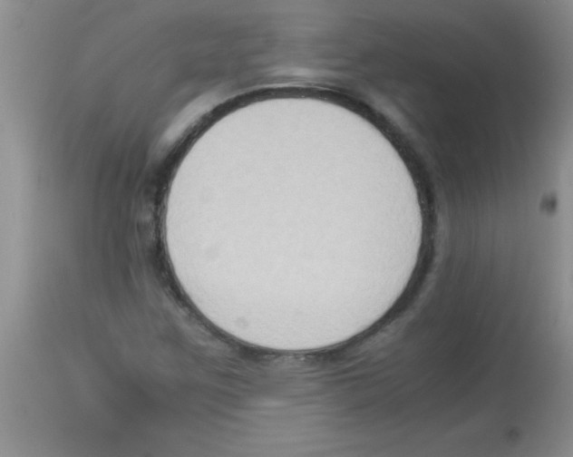 X0000113951259200910231958
