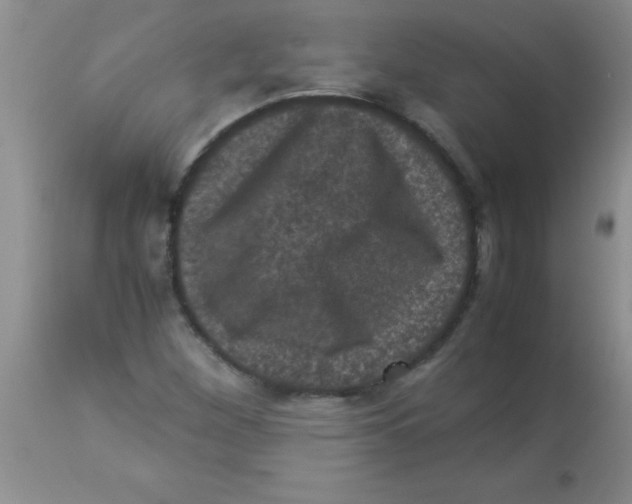 X0000113951260200910231958