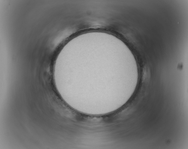 X0000113951261200910231958