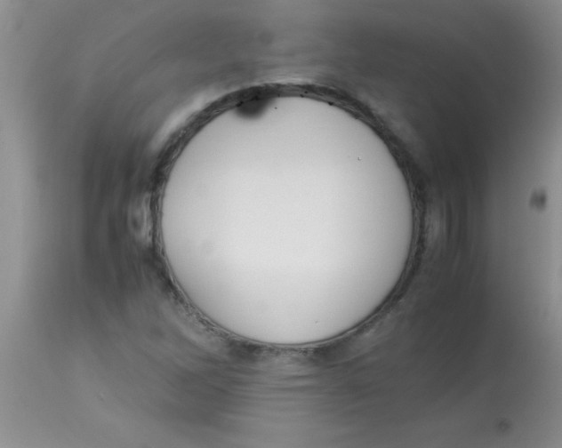 X0000113951262200910231958
