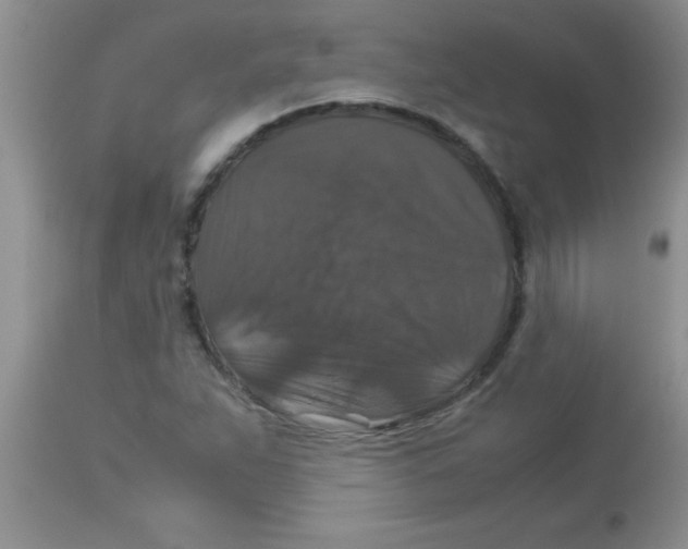 X0000113951263200910231958