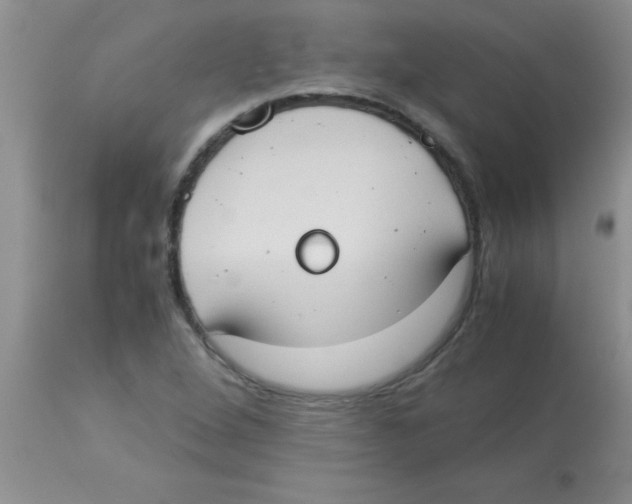X0000113951264200910231958