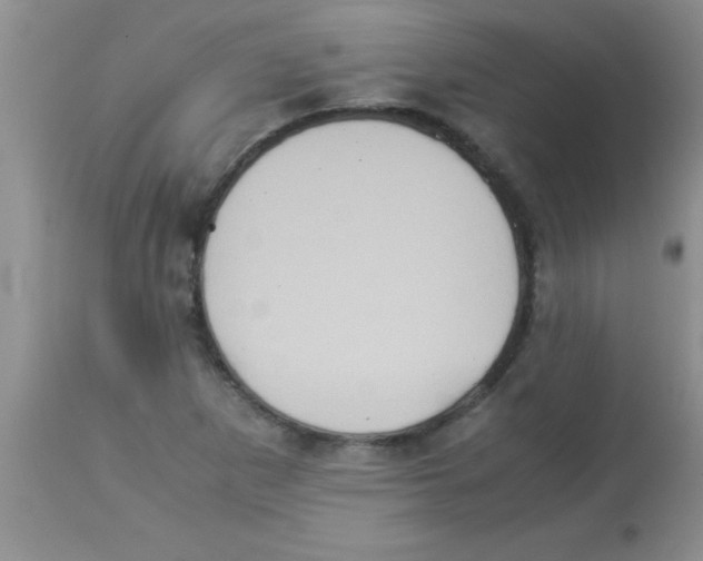 X0000113951265200910231958