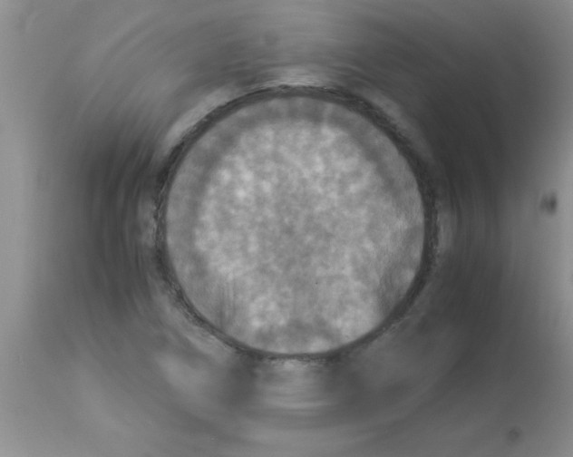 X0000113951266200910231958