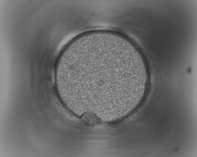 X0000113951267200910231958