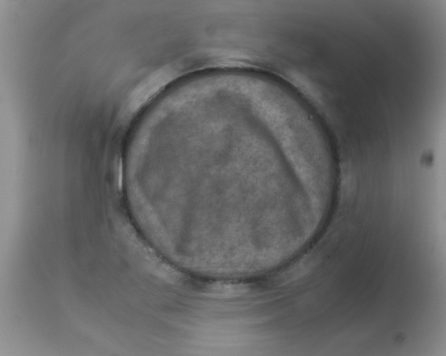 X0000113951269200910231958