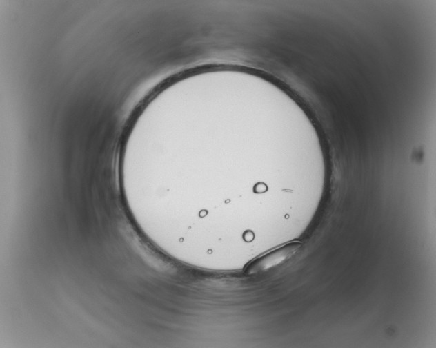 X0000113951272200910231958