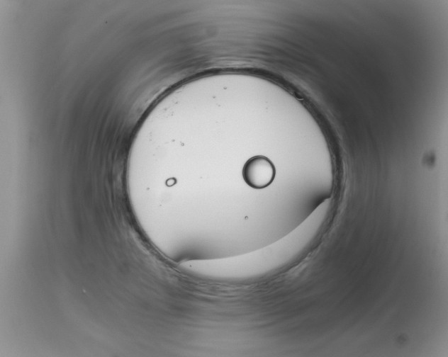 X0000113951273200910231958