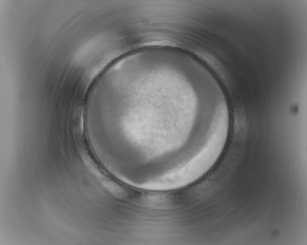 X0000113951274200910231958