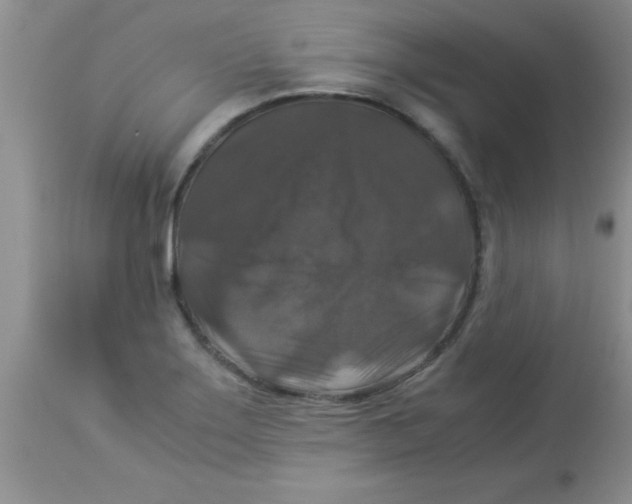 X0000113951275200910231958