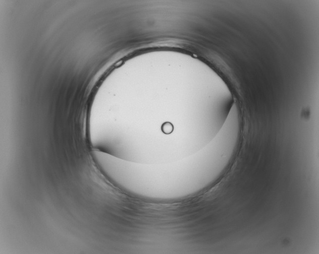 X0000113951276200910231958